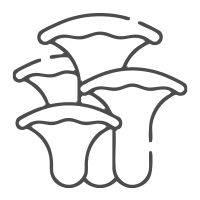 Jelstone-Naturalny-Lupek-Dachowy-i-Elewacyjny-Natural-Slate-Grzyby